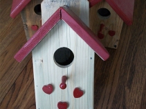 Bird Home
