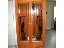Gun